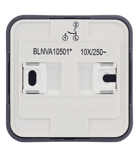 Выключатель Systeme Electric Blanca двухклавишный накладной антрацит (BLNVA105016)