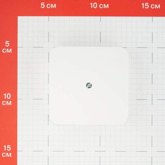 Коробка распределительная Systeme Electric Blanca накладная молочная (BLNRK000012)