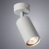 Спот Arte Lamp Aquarius GU10 35 Вт 1 кв.м серый IP20 (A3216PL-1GY)