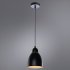 Светильник подвесной Arte Lamp Braccio E27 60 Вт 2 кв.м черный IP20 (A2054SP-1BK)