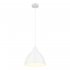 Светильник подвесной Arte Lamp Braccio E27 60 Вт 2 кв.м белый IP20 (A2055SP-1WH)