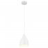 Светильник подвесной Arte Lamp Braccio E27 60 Вт 2 кв.м белый IP20 (A2054SP-1WH)