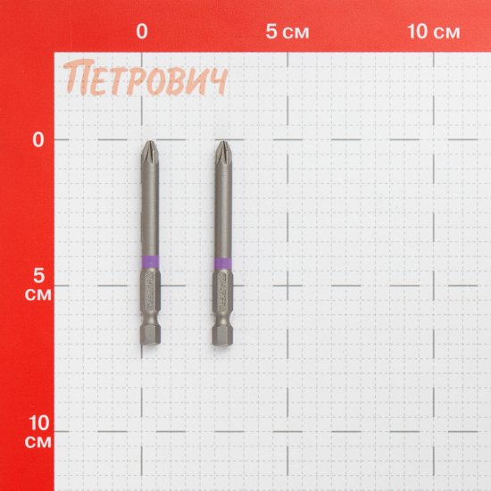 Бита Hesler (882090) PZ2 магнитная 70 мм (2 шт.)