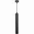 Светильник подвесной Arte Lamp 50 Вт GU10 2 кв.м черный (A1520SP-1BK/6805)
