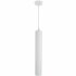 Светильник подвесной Arte Lamp 50 Вт GU10 2 кв.м белый (A1520SP-1WH/6812)