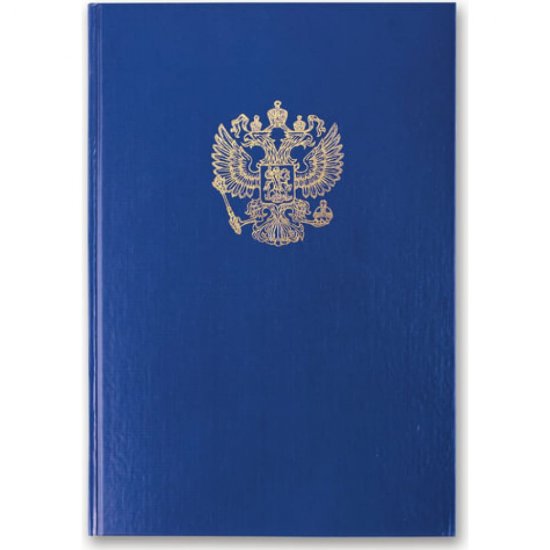 Книга учета BRAUBERG 130141