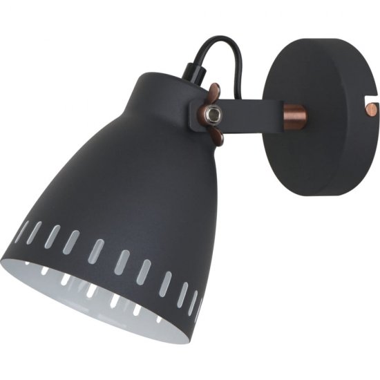 Настенный светильник Camelion WML-428-1 С02 New York