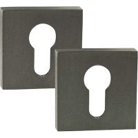 Ключевая накладка PALIDORE CWS BH