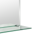 Зеркало для ванной Omega Glass NNFP006М с полкой 50x60 см прямоугольное