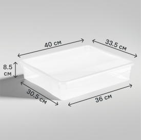 Ящик Кристалл 40x8.5x33.5 см 9 л пластик с крышкой цвет прозрачный