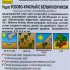 Семена Редис «Розово-красный» (Лидер)