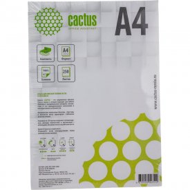 Офисная бумага общего назначения Cactus cie146