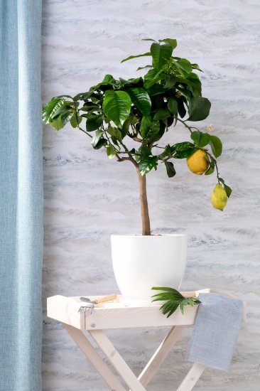 Набор садовых ручных инструментов 3 предмета «АгроСоната»