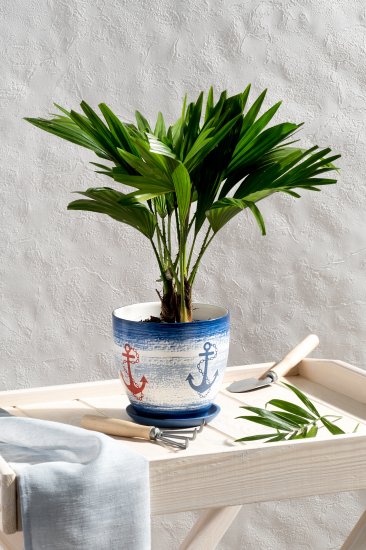 Набор садовых ручных инструментов 3 предмета «АгроСоната»