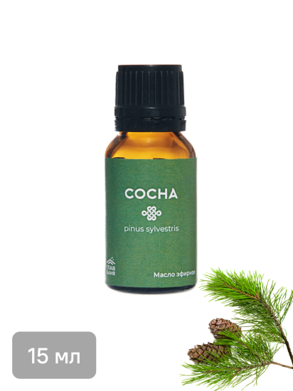 Набор масел эфирных Главбаня пихта мята сосна эвкалипт 4x15мл EVA