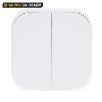 Выключатель накладной 2 клавиши Legrand Quteo IP20 10А 250В цвет белый