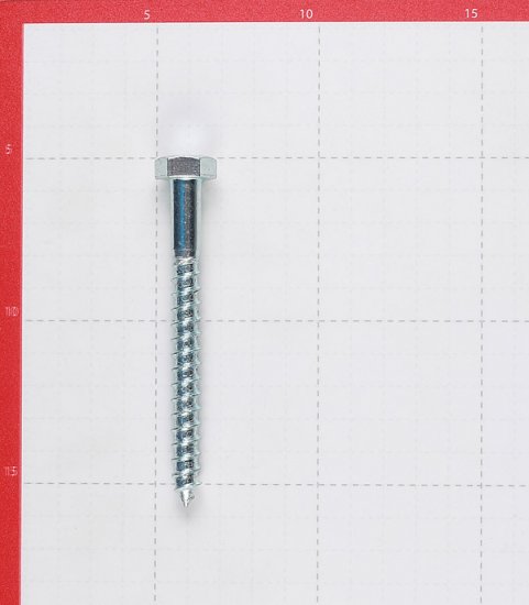 Болт сантехнический 10х100 мм DIN 571 оцинкованный (2 шт.)