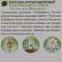 Портулак Geolia «Водопад цвета» смесь окрасок