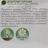 Горошек душистый Geolia Первая любовь