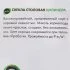 Семена Свёкла столовая Geolia Цилиндра