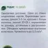 Семена Редис Geolia 18 дней