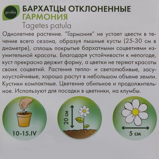 Бархатцы Geolia отклонённые Гармония