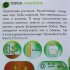 Семена Горох Geolia Амброзия