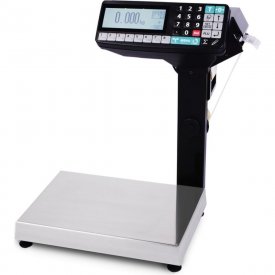 Весы-регистраторы МАССА-К МК-32.2-RP-10-1