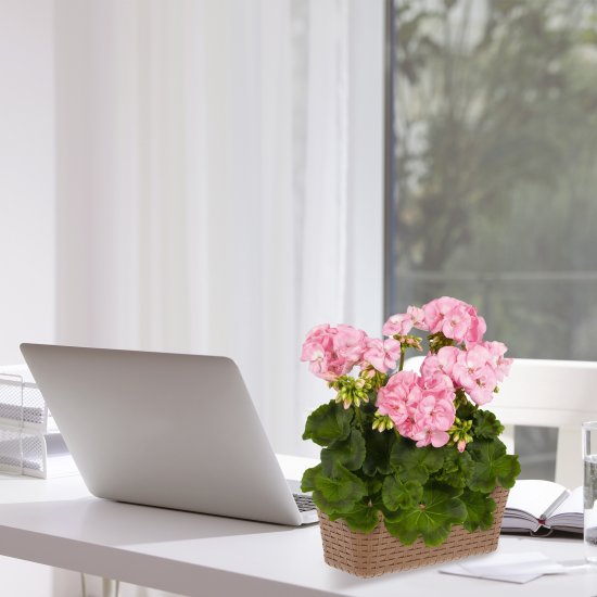 Ящик балконный Idea Ротанг 60x18x16 см v16.5 л пластик бежевый