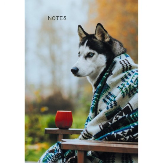 Книга для записей listoff КЗ51003499