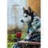 Книга для записей listoff КЗ51003499