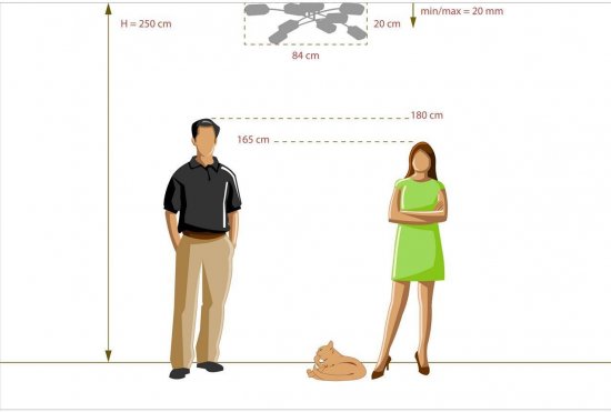 Люстра Олимпия 8xE14x60 Вт металл/стекло цвет хром/белый