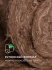 Утеплитель Knauf Insulation ТеплоKnauf Extra Кровля/стена/пол рулон 150 мм 1 шт 1220x4100 мм 5 м²