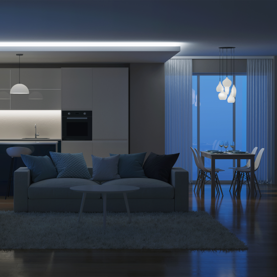 Светодиодная лента Apeyron SMD2835 12В 10 мм 2м 14.4 Вт/м 120диод/м 1400 лм/м 6500 К холодный белый свет