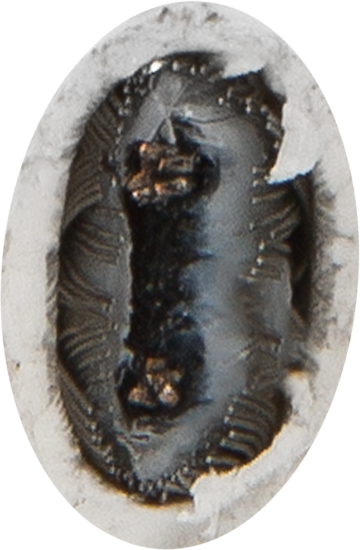 Греющий кабель для обогрева труб xLayder EHL16-2CT саморегулирующийся 1 м 16 Вт