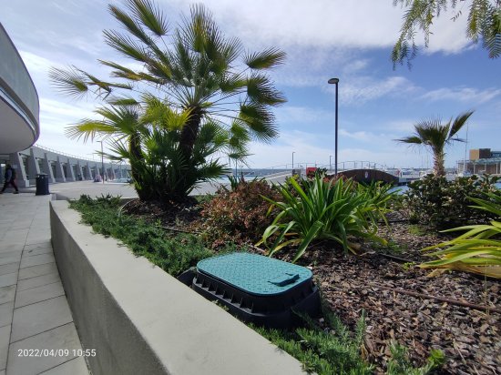 Коробка клапанная Standart прямоугольная RAIN