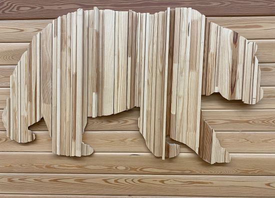 Декоративный брусок сращенный 11x19x2200 мм хвоя сорт Экстра прямой