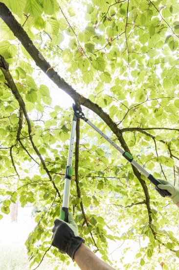 Сучкорез садовый Geolia с телескопическими ручками ø40 мм