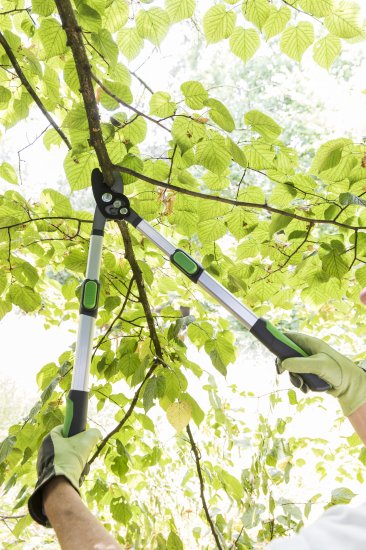 Сучкорез садовый Geolia с телескопическими ручками ø40 мм