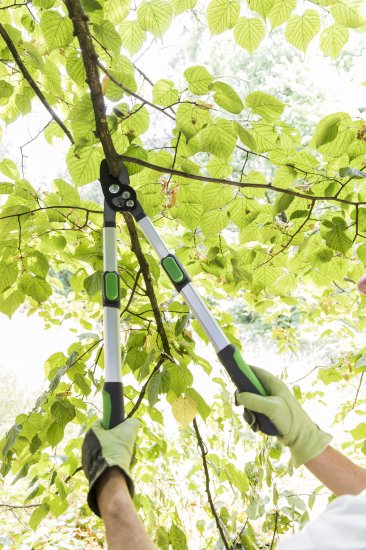 Сучкорез садовый Geolia с телескопическими ручками ø40 мм