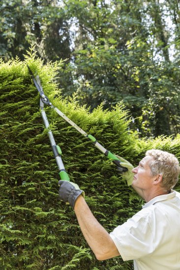 Ножницы садовые Geolia для кустарников с телескопическими ручками