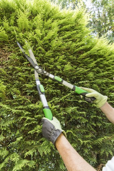 Ножницы садовые Geolia для кустарников с телескопическими ручками