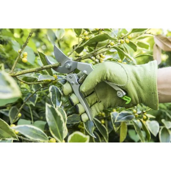 Секатор садовый Geolia универсальный ø15 мм