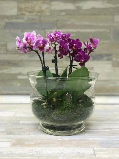 Ваза Бейли 2 большая стекло цвет прозрачный