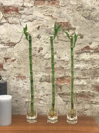 Ваза Розовая малая стекло цвет прозрачный 26см