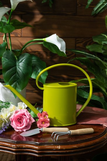 Лейка для комнатных растений 1.2 л цвет в ассортименте