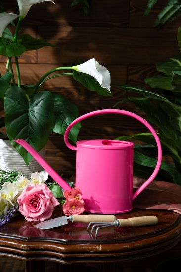 Лейка для комнатных растений 1.2 л цвет в ассортименте