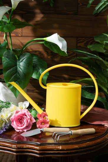 Лейка для комнатных растений 1.2 л цвет в ассортименте
