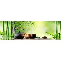 Панель для кухонного фартука ФАРТУКОФФ ФФ-424