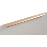 Мебельная торцевая ручка BOYARD rt110sg.1/600